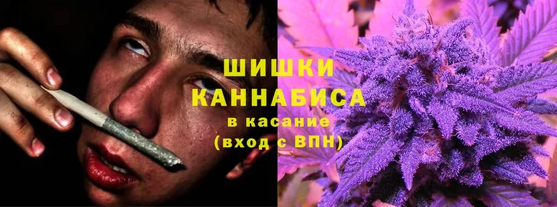 наркотики  Сорск  блэк спрут сайт  Конопля OG Kush 